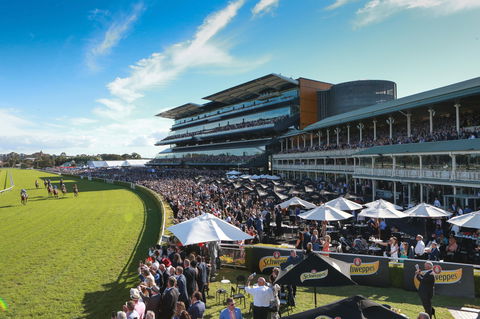 George Main Stakes Day - Accommodation Coffs Harbour 1