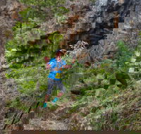 Goldrush Trail Runs - Accommodation Coffs Harbour