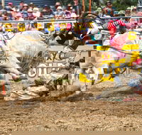 Jindabyne's Man From Snowy River Rodeo - Accommodation Coffs Harbour