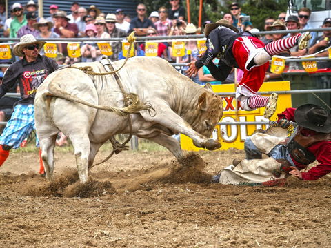 Jindabyne's Man From Snowy River Rodeo - Accommodation Coffs Harbour 0