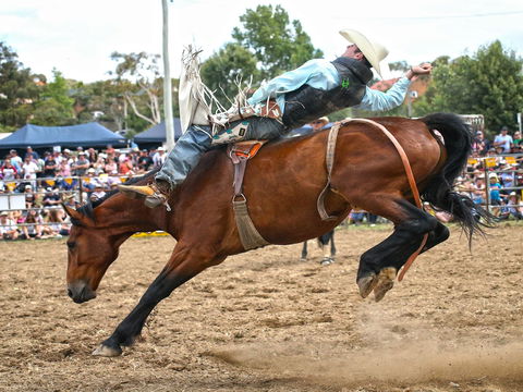 Jindabyne's Man From Snowy River Rodeo - Accommodation Coffs Harbour 1
