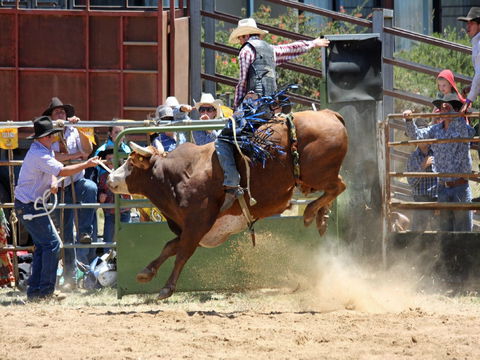 Jindabyne's Man From Snowy River Rodeo - Accommodation Coffs Harbour 2