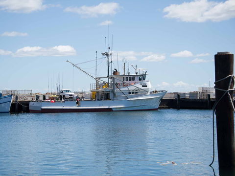 Love Sea Food Port Stephens - Accommodation Coffs Harbour 1