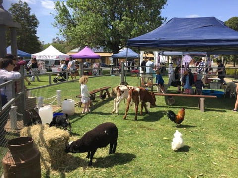 Mathoura Country Kids Festival - Accommodation Coffs Harbour 2