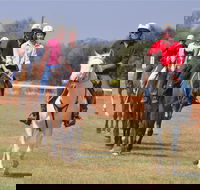 Pride of the West Races 2020 - Accommodation Coffs Harbour