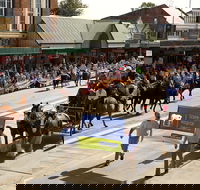 Scone Horse Festival - Accommodation Coffs Harbour