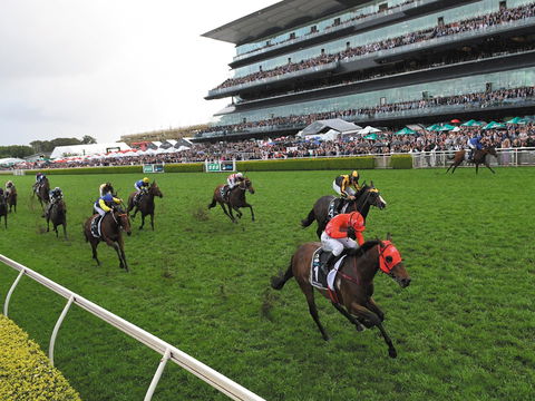 The TAB Everest: The World’s Richest Race On Turf - Accommodation Coffs Harbour 0
