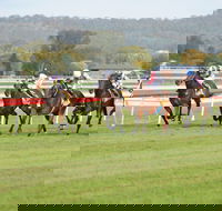 Aggies Race Day - Accommodation Coffs Harbour