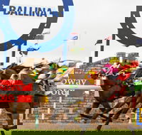Ballina Boxing Day Races - Accommodation Coffs Harbour