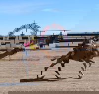 Bedourie Camel and Pig Races and Camp oven Cook-off - Accommodation Coffs Harbour