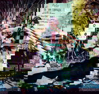 Buskers by the Lake - Accommodation Coffs Harbour