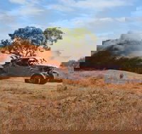 CanAm Loveday 400 Off-Road Race - Accommodation Coffs Harbour