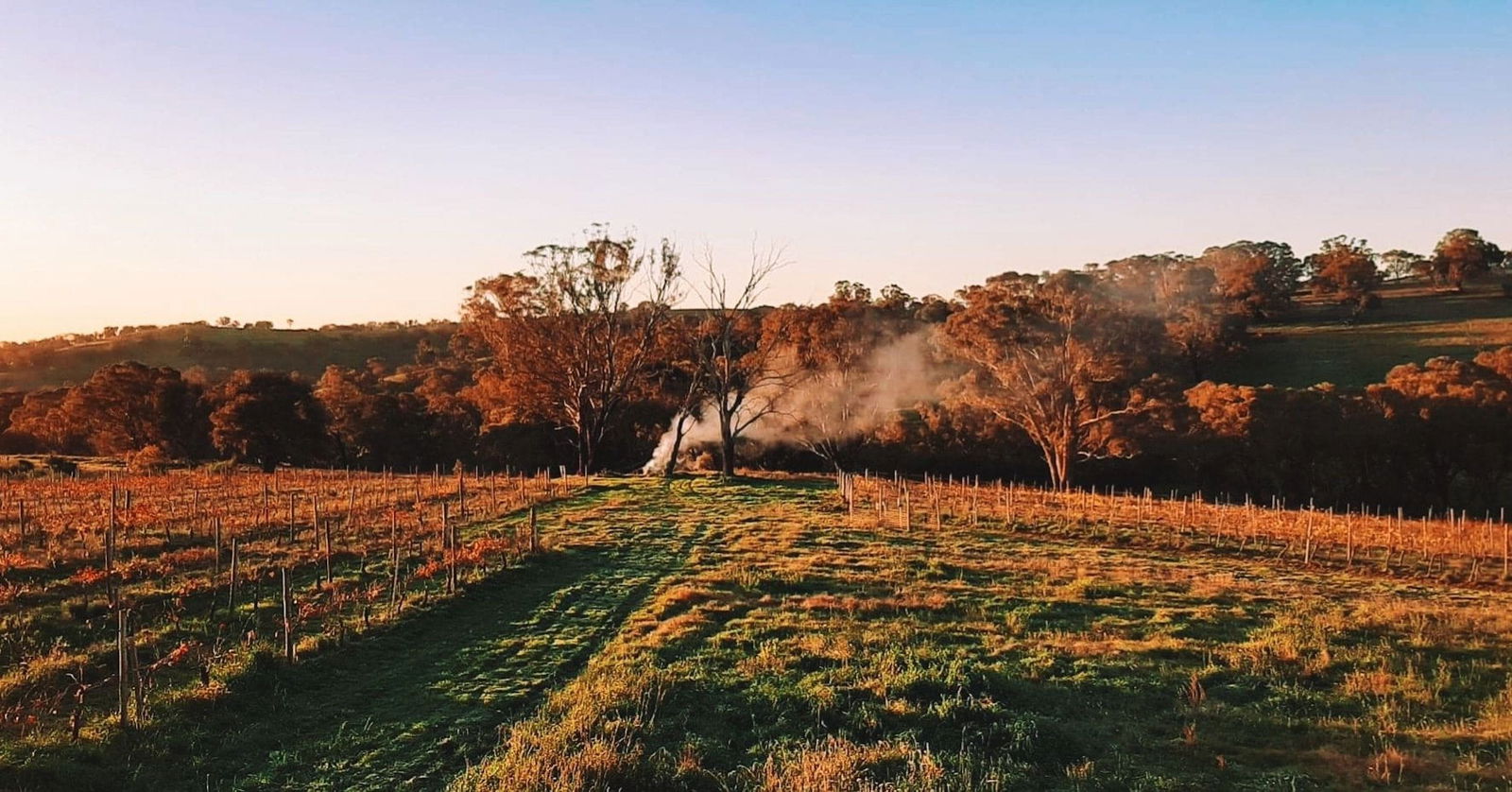 Lidster NSW Accommodation Coffs Harbour
