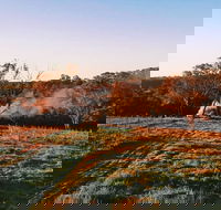 Cargo Road Wines Grande Fiamma - Accommodation Coffs Harbour