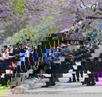 Celtic Festival of Queensland - Accommodation Coffs Harbour