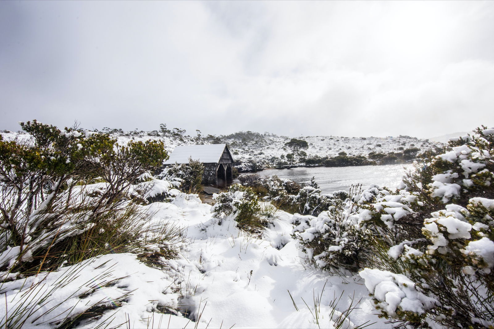 Cradle Mountain TAS Accommodation Coffs Harbour