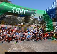 Coffs Harbour Running Festival - Accommodation Coffs Harbour