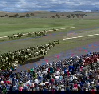 Cooma Sundowners Cup - Accommodation Coffs Harbour