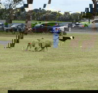 Dean Sheepdog Trials - Old Sniff Classic - Accommodation Coffs Harbour