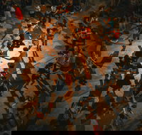 Downside Bush Dance - Accommodation Coffs Harbour