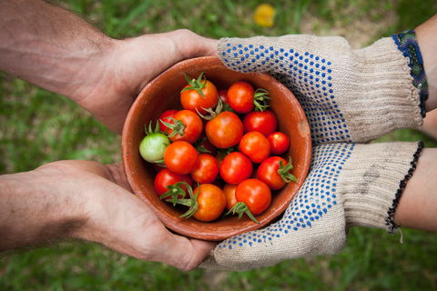 Riverina Producers Market - Accommodation Coffs Harbour 0