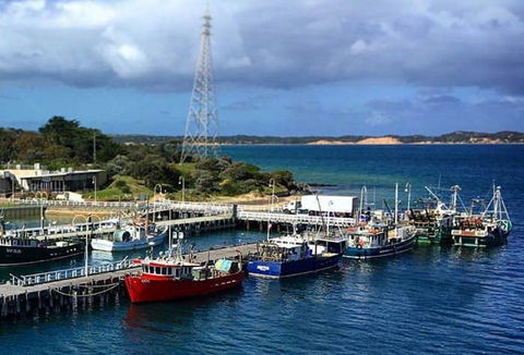 San Remo Fishing Festival - Accommodation Coffs Harbour 2