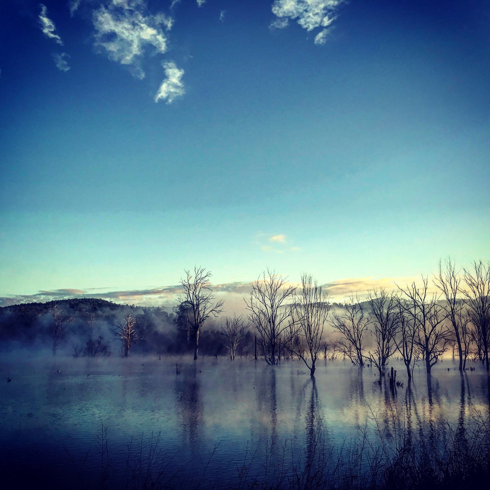 Wyaralong QLD Accommodation Coffs Harbour