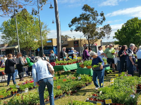 Springwood Growers Market - Accommodation Coffs Harbour 1