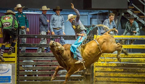 Top Gun And Young Gun Series Round 9 - Accommodation Coffs Harbour 0