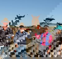 Annual Prairie Races - Accommodation Coffs Harbour