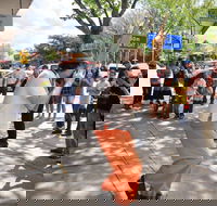 Australian National Busking Championships - Accommodation Coffs Harbour