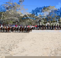 Australian Campdraft Association National Finals Campdraft 2021 - Accommodation Coffs Harbour