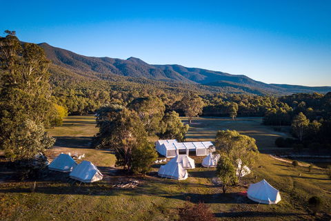 A Wild Night Out - Spring - Accommodation Coffs Harbour 5