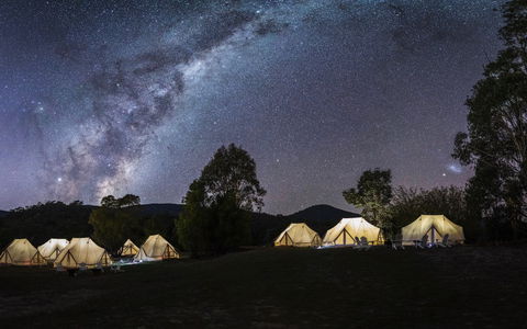 A Wild Night Out - Spring - Accommodation Coffs Harbour 6