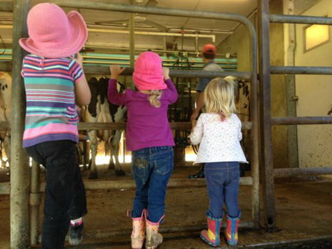 Bandon Grove Farm Tours - Accommodation Coffs Harbour 1
