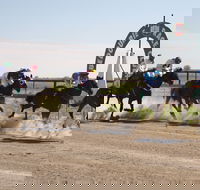 Bedourie Races and Rodeo - Accommodation Coffs Harbour