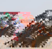 Birdsville Races - Accommodation Coffs Harbour