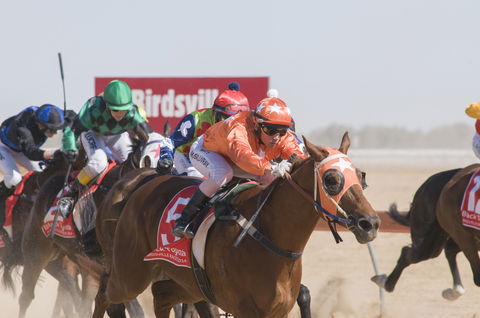 Birdsville Races - Accommodation Coffs Harbour 0