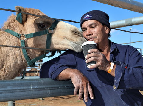 Boulia Camel Races - Accommodation Coffs Harbour 2