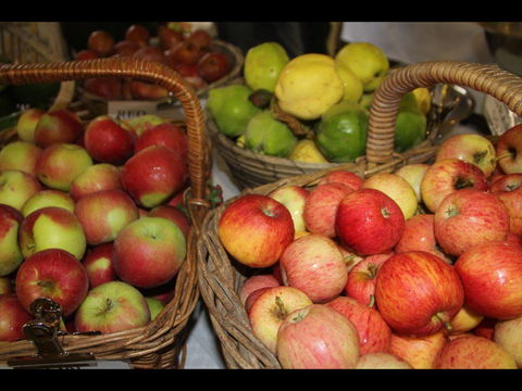 Braidwood Farmers Markets - Accommodation Coffs Harbour 0