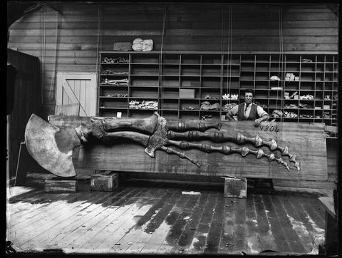 Capturing Nature: Early Photography At The Australian Museum 1857 – 1893 - Accommodation Coffs Harbour 0