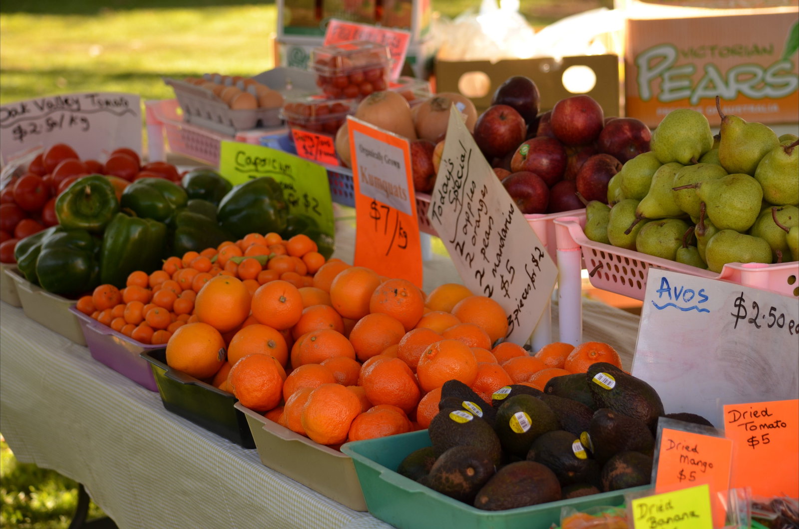 Ifracombe QLD Accommodation Coffs Harbour