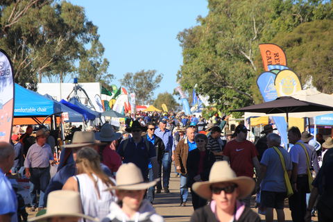 CRT FarmFest - Accommodation Coffs Harbour 1