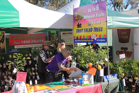 CRT FarmFest - Accommodation Coffs Harbour 2