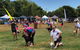 Dogs In The Park NSW St Ives - thumb 0