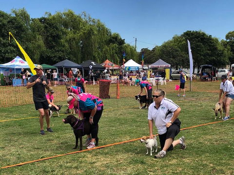 Dogs In The Park NSW St Ives - Accommodation Coffs Harbour 0