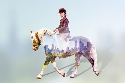 EQUITANA Melbourne - Accommodation Coffs Harbour 0