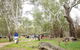 Grazing Down The Lachlan - thumb 2