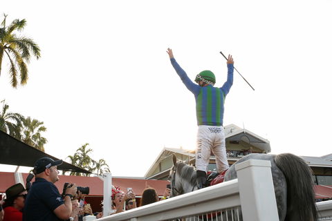 Great Northern Darwin Cup Carnival - Accommodation Coffs Harbour 1