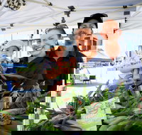 Greater Whitsunday Farmers Markets - Accommodation Coffs Harbour